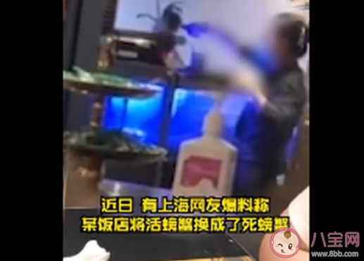 飯店用死螃蟹掉包活螃蟹是怎么回事 螃蟹死了還能吃嗎