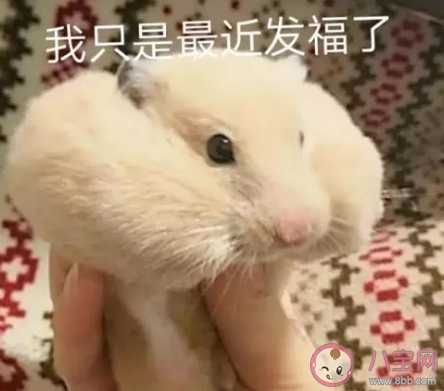 快進到是什么梗什么意思 快進梗的出處是什么 快進到是什么梗什么意思 快進梗的出處是什么