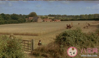 找到適合自己的土壤有多重要 怎么找到適合自己的土壤