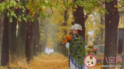 找到適合自己的土壤有多重要 怎么找到適合自己的土壤