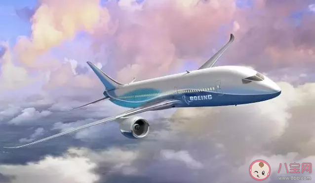 明星航空里程被盜原因是什么 航空里程積分有什么用怎么兌換機票