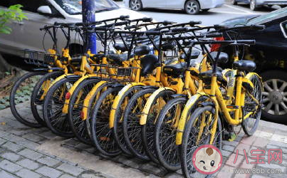 ofo仍在自動續費是真的嗎 ofo自動續費在哪關