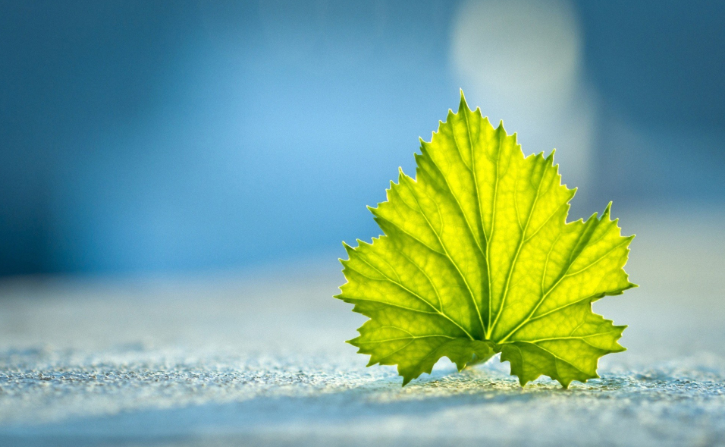 明星經(jīng)典語(yǔ)錄句子 經(jīng)典勵(lì)志的情感語(yǔ)錄 明星經(jīng)典語(yǔ)錄句子 經(jīng)典勵(lì)志的情感語(yǔ)錄