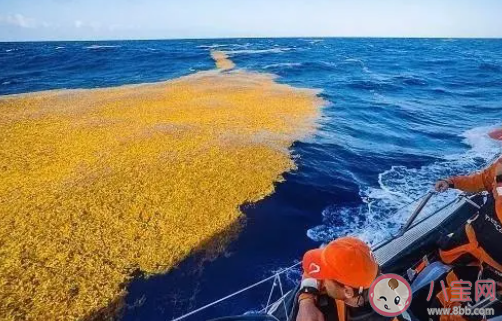 高一地理書上的唐僧師徒在哪 學(xué)地理的有趣知識(shí)盤點(diǎn)