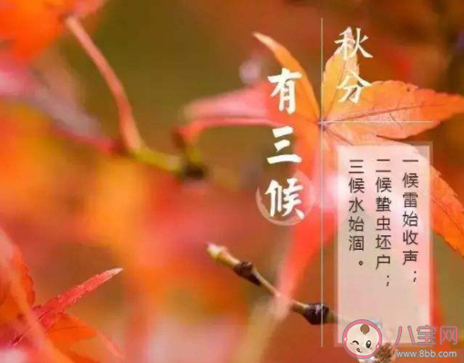 2020秋分三候是哪三候 2020秋分三候分別是什么意思 2020秋分三候是哪三候 2020秋分三候分別是什么意思