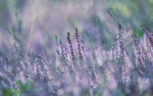 談戀愛聊天的5個經典話題 適合談戀愛發的語錄短句情話 談戀愛聊天的5個經典話題 適合談戀愛發的語錄短句情話