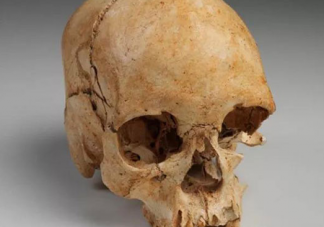 16000年前的人頭骨化石在哪里發(fā)現(xiàn)的 人頭骨化石是怎么研究