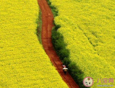 9月最后一天說再見的心情句子 9月最后一天的感受心情說說