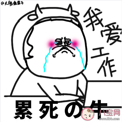 社畜有哪些分類(lèi) 社畜定位分類(lèi)