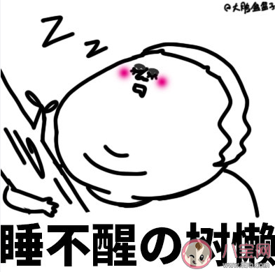 社畜有哪些分類(lèi) 社畜定位分類(lèi)