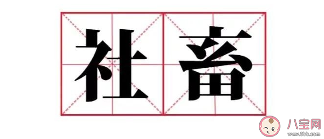 社畜有哪些分類(lèi) 社畜定位分類(lèi)