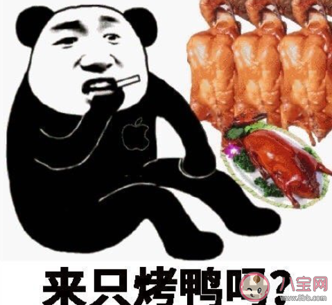 四級(jí)翻譯喝酒喝茶吃烤鴨是什么梗 四級(jí)翻譯題目答案是什么