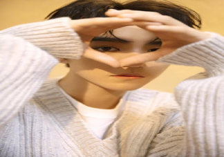 王俊凱生日粉絲21封信內容寫了什么 王俊凱粉絲的二十一封信內容