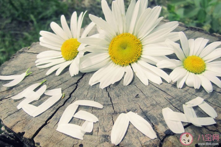 充滿少年感的朋友圈說說句子 形容少年感強的語錄大全