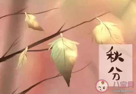 秋分之后吃什么食物養生 2020秋分養生食物推薦