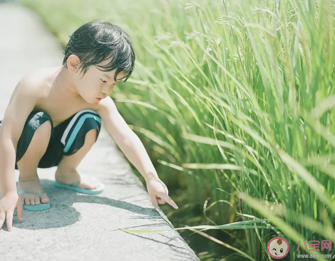 從小就很獨立是什么體驗 從小就很獨立性格上有什么特點