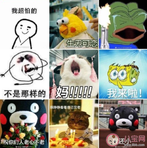 肖戰(zhàn)誰(shuí)還不會(huì)整點(diǎn)兒土味情話啊什么梗 肖戰(zhàn)用過(guò)的表情包圖片大全