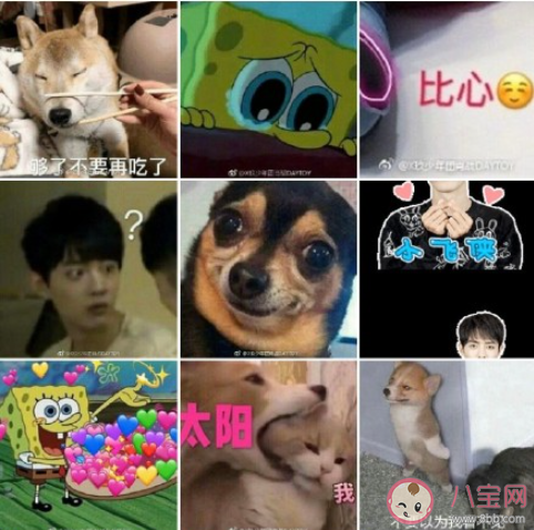 肖戰(zhàn)誰(shuí)還不會(huì)整點(diǎn)兒土味情話啊什么梗 肖戰(zhàn)用過(guò)的表情包圖片大全