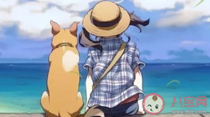 國慶節一個人做什么打發時間 一個人無聊可以做哪些事情