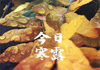 2020今日寒露簡單一句話朋友圈說說句子 2020今日寒露朋友圈簡短說說大全
