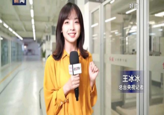 王冰冰為什么紅了 央視記者王冰冰個(gè)人資料