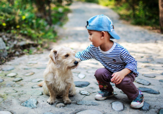 家庭寵物死亡會給孩子心理造成問題嗎 寵物死亡對孩子有什么影響