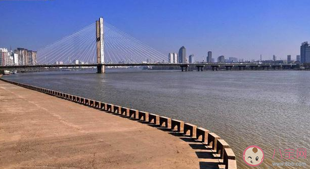 松花江哈爾濱段船舶停航會(huì)持續(xù)多長時(shí)間 遭遇洪水該如何自救 松花江哈爾濱段船舶停航會(huì)持續(xù)多長時(shí)間 遭遇洪水該如何自救