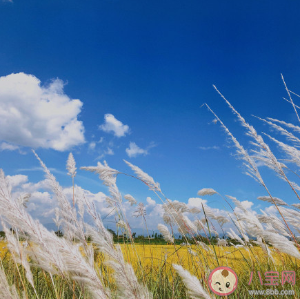 大理的秋天太美了心情說說 大理的秋天太美了心情句子 大理的秋天太美了心情說說 大理的秋天太美了心情句子