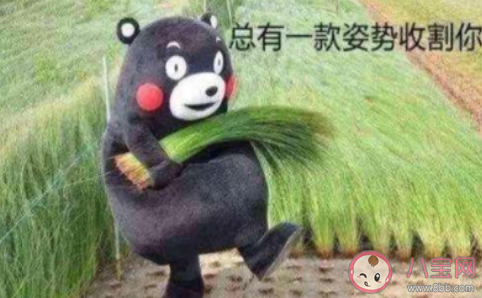 特斯拉禁止員工說韭菜一詞是什么原因 說韭菜一次罰款10元是真的嗎