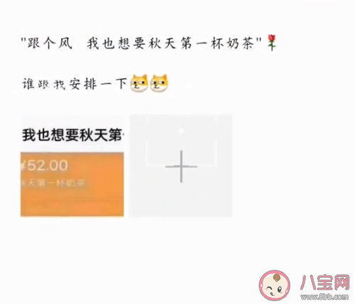 秋天的第一杯奶茶是什么梗 秋天的第一杯奶茶梗知識科普