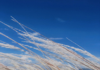 大理的秋天太美了心情說說 大理的秋天太美了心情句子