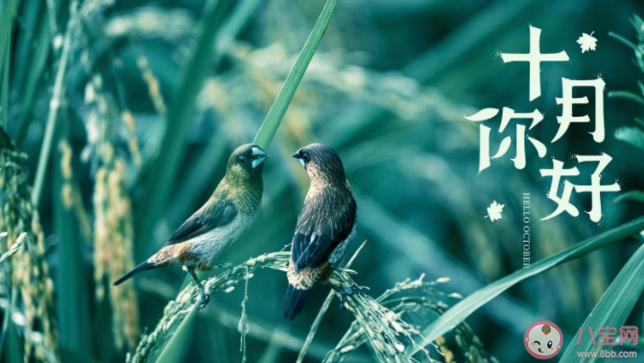 十月致自己的簡短一句話說說朋友圈 十月給自己的正能量簡單句子