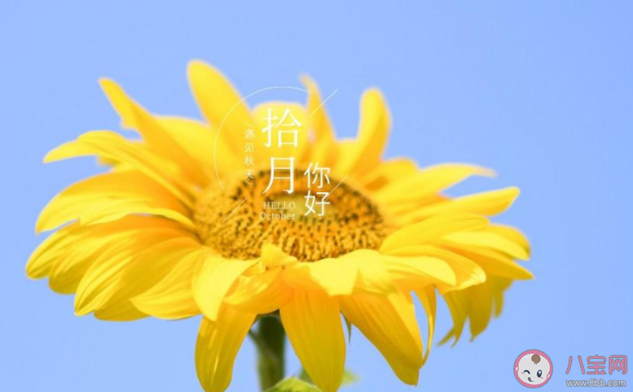 十月致自己的簡短一句話說說朋友圈 十月給自己的正能量簡單句子