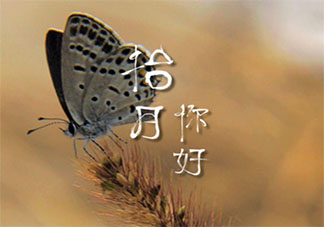 十月第一條朋友圈說說怎么發 十月第一條朋友圈個性說說精選