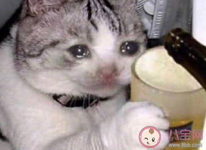 切洋蔥流淚的幽默說說 切洋蔥流淚的搞笑句子