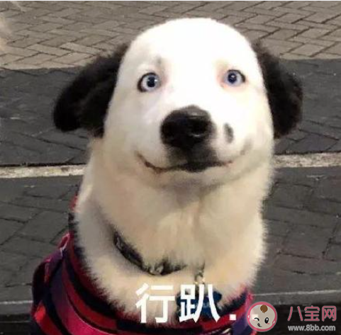 996頭是什么意思 007頭404頭又是什么梗 996頭是什么意思 007頭404頭又是什么梗