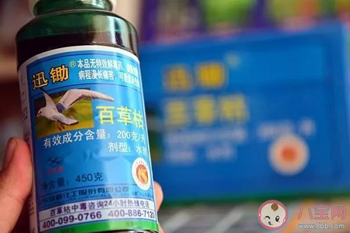 百草枯為什么不得在境內銷售 喝了百草枯會直接導致死亡嗎