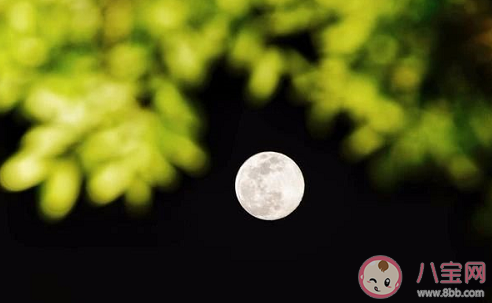 你可真是個中秋節是什么意思什么梗 你可真是個中秋節梗的出處 你可真是個中秋節是什么意思什么梗 你可真是個中秋節梗的出處