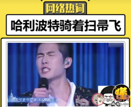 哈利波特騎著掃帚飛是什么梗 哈利波特騎著掃帚飛出處來源是哪里 哈利波特騎著掃帚飛是什么梗 哈利波特騎著掃帚飛出處來源是哪里