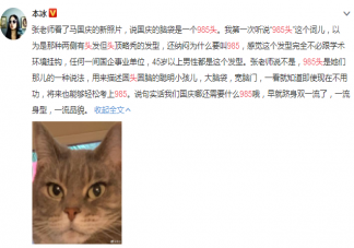 985頭梗是什么意思 985頭是指什么
