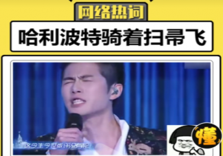 哈利波特騎著掃帚飛是什么梗 哈利波特騎著掃帚飛出處來(lái)源是哪里