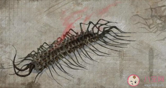 靈籠脊骨說的話是什么 靈籠脊骨到底是什么 靈籠脊骨說的話是什么 靈籠脊骨到底是什么