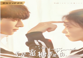 《半是蜜糖半是傷》各人物關系是怎樣的 各人物關系圖詳解