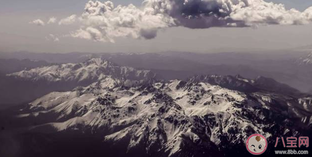 大潤發殺魚是什么梗什么意思 大潤發殺魚梗的出處是什么