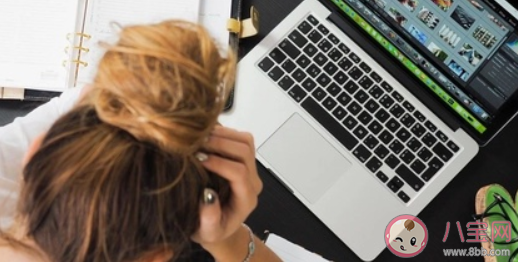 當代成年人的打工宣言 選擇打工的原因是什么