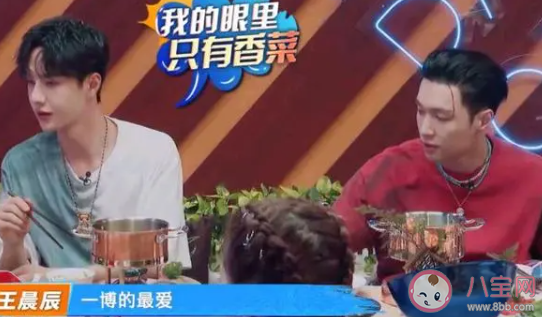 王一博香菜味棒棒糖怎么回事 王一博有多喜歡吃香菜