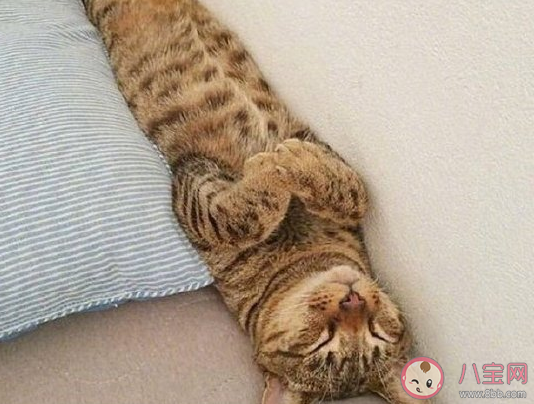 等待放假的心情說說大全 等待國慶節放假發朋友圈文案 等待放假的心情說說大全 等待國慶節放假發朋友圈文案