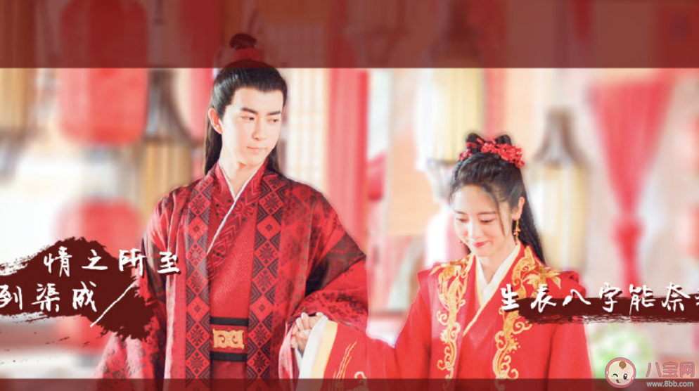 明月曾照江東寒追劇日歷 明月曾照江東寒追劇時間表 明月曾照江東寒追劇日歷 明月曾照江東寒追劇時間表