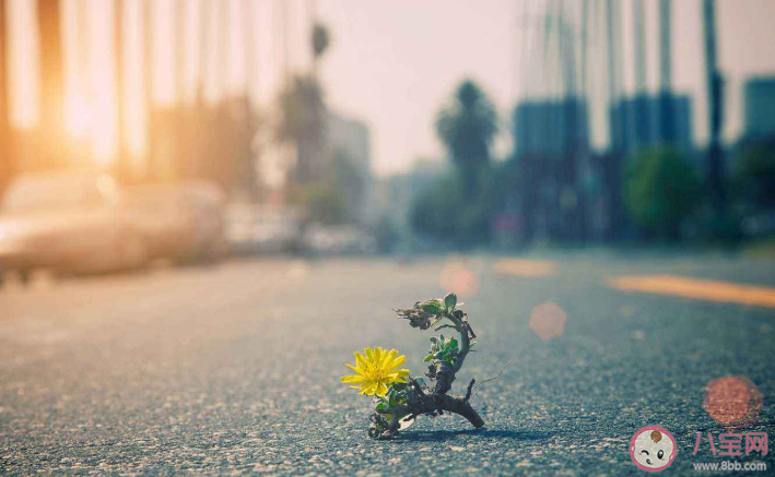 讓人覺得倍感溫暖富有儀式感的說說句子 一眼看著就很溫暖的暖心文案 讓人覺得倍感溫暖富有儀式感的說說句子 一眼看著就很溫暖的暖心文案