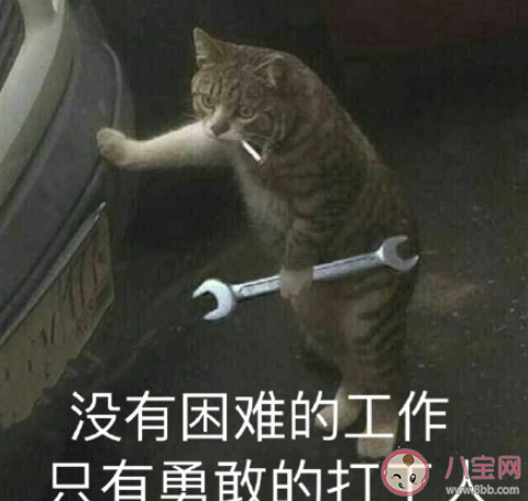 打工人是什么意思什么梗 打工人經典語錄表情包大全